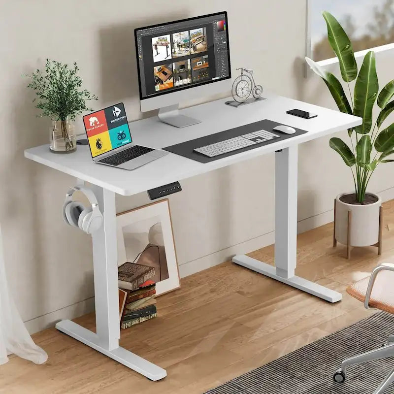 Electric Height Adjustable Standing Desk,Sit to Stand Ergonomic Computer Desk,55 x 24