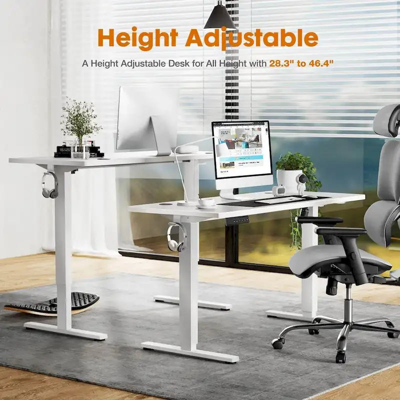 Electric Height Adjustable Standing Desk,Sit to Stand Ergonomic Computer Desk,55 x 24