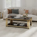 48 Wide Rectangular Coffee Table with Glass Top, Stainless Steel Double-Layer Coffee Table